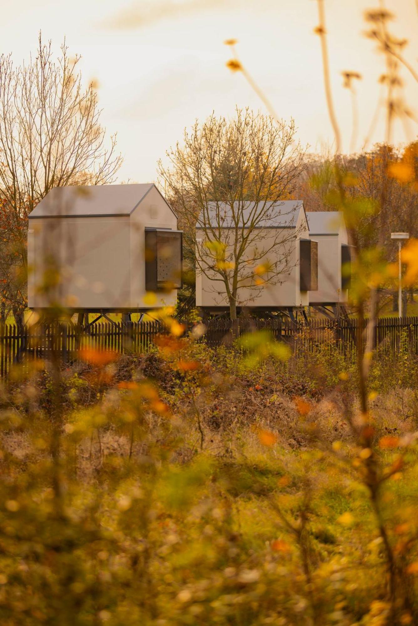 Prague Camping Dzban Dış mekan fotoğraf